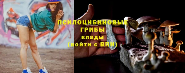 мдпв Киренск