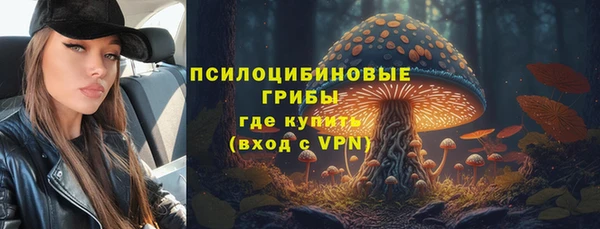 мдпв Киренск